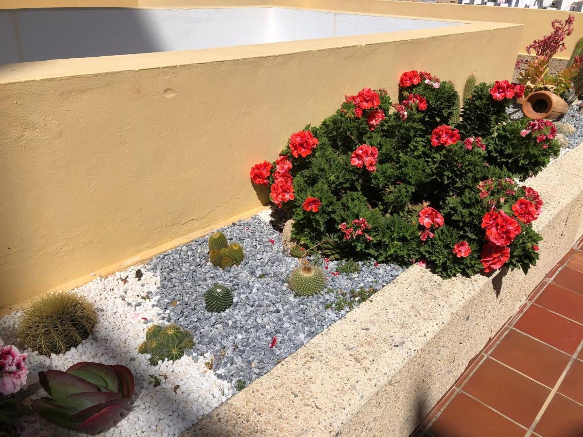 Apartamento Con Impresionantes Vistas Y Piscina Costa Adeje  Exterior photo