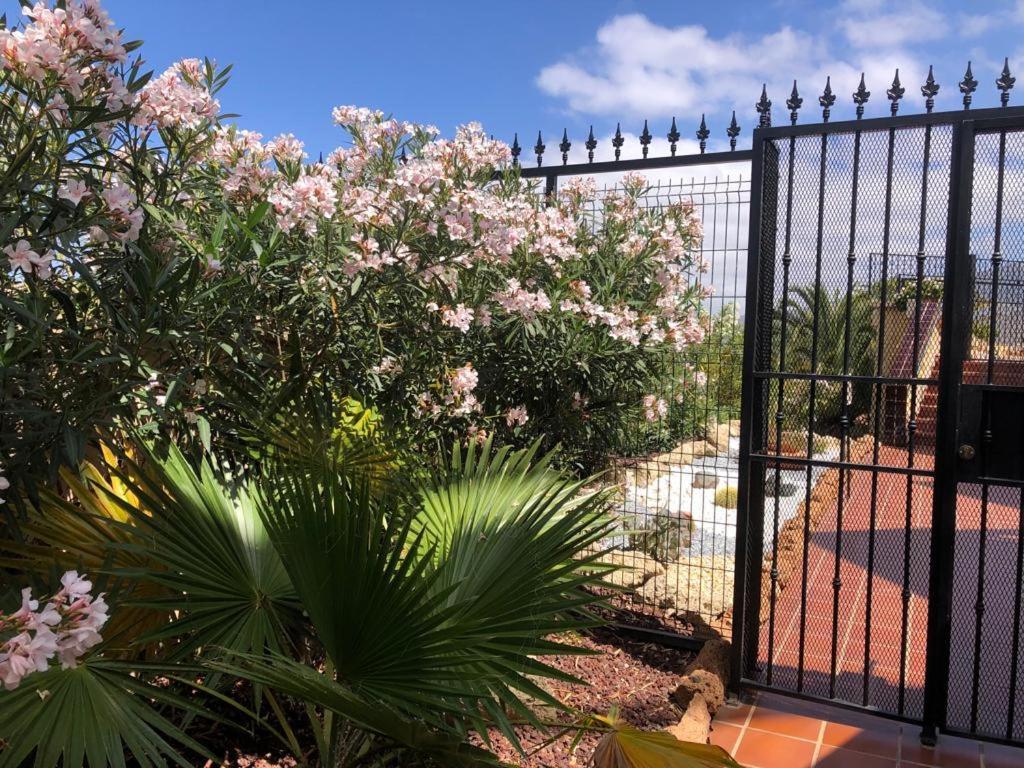 Apartamento Con Impresionantes Vistas Y Piscina Costa Adeje  Exterior photo